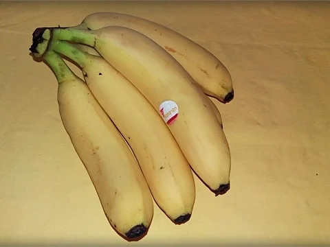 Cantaloupe Melone-Körbchen mit Obst gefüllt - Rezept - Bild Nr. 230