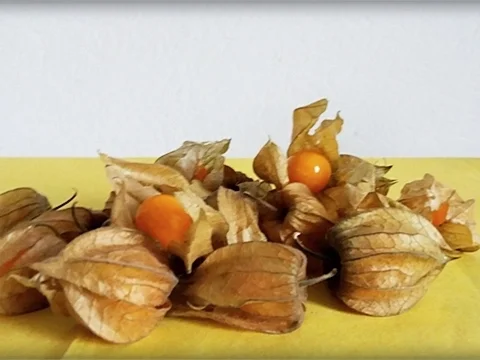 Cantaloupe Melone-Körbchen mit Obst gefüllt - Rezept - Bild Nr. 231