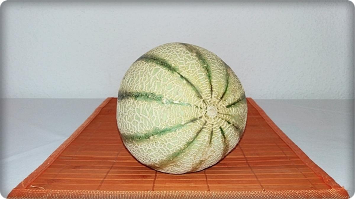 Cantaloupe Melone-Körbchen mit Obst gefüllt - Rezept - Bild Nr. 237