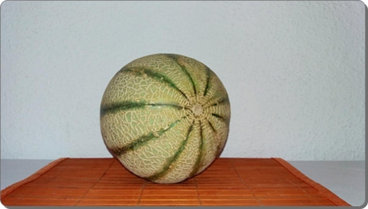 Cantaloupe Melone-Kokos  Smoothie - Rezept - Bild Nr. 228