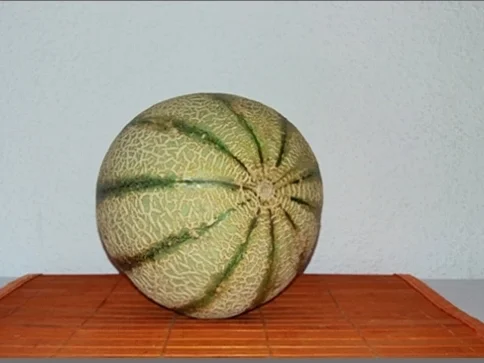 Rezept: Cantaloupe Melone-Kokos Smoothie Bild Nr. 228 Cantaloupe Melone-Kokos Smoothie - Rezept - Bild Nr. 228