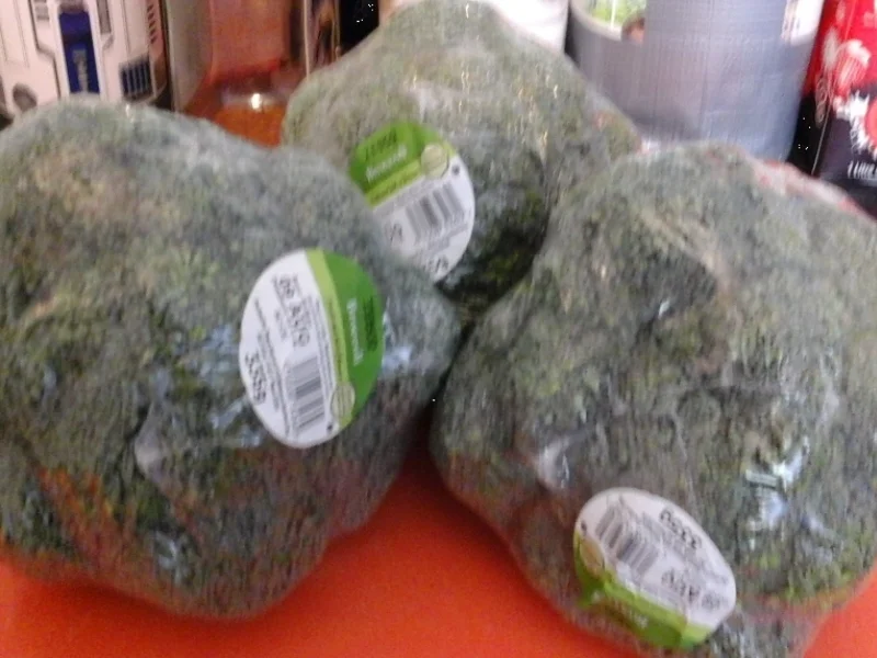 Fischfilet mit Brokkoli und pikanten Kartoffelstampf - Rezept - Bild Nr. 266