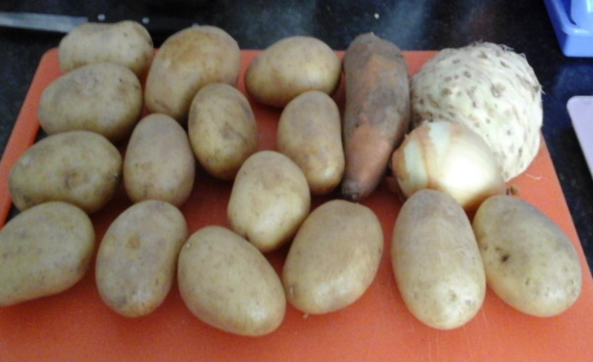 Fischfilet mit Brokkoli und pikanten Kartoffelstampf - Rezept - Bild Nr. 268