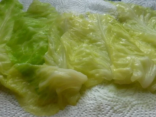 Rezept: Spitzkohlauflauf mit Kapern und Speck Bild Nr. 264 Spitzkohlauflauf mit Kapern und Speck - Rezept - Bild Nr. 264