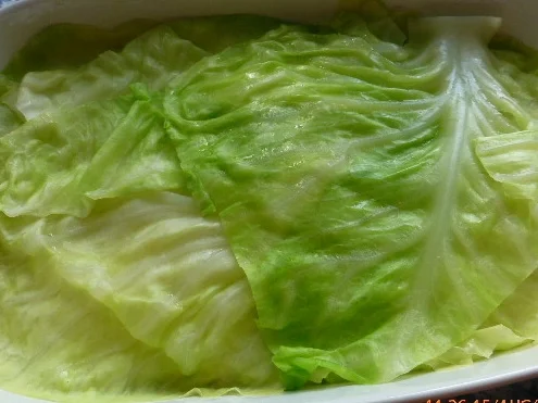 Rezept: Spitzkohlauflauf mit Kapern und Speck Bild Nr. 266 Spitzkohlauflauf mit Kapern und Speck - Rezept - Bild Nr. 266