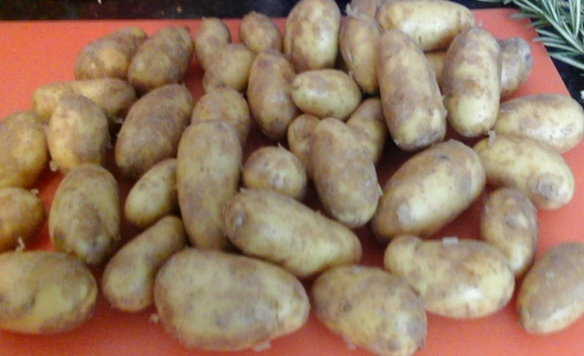 Rindergulasch mit Rosmarinkartoffeln und Blumenkohl+Brokkoli - Rezept - Bild Nr. 267