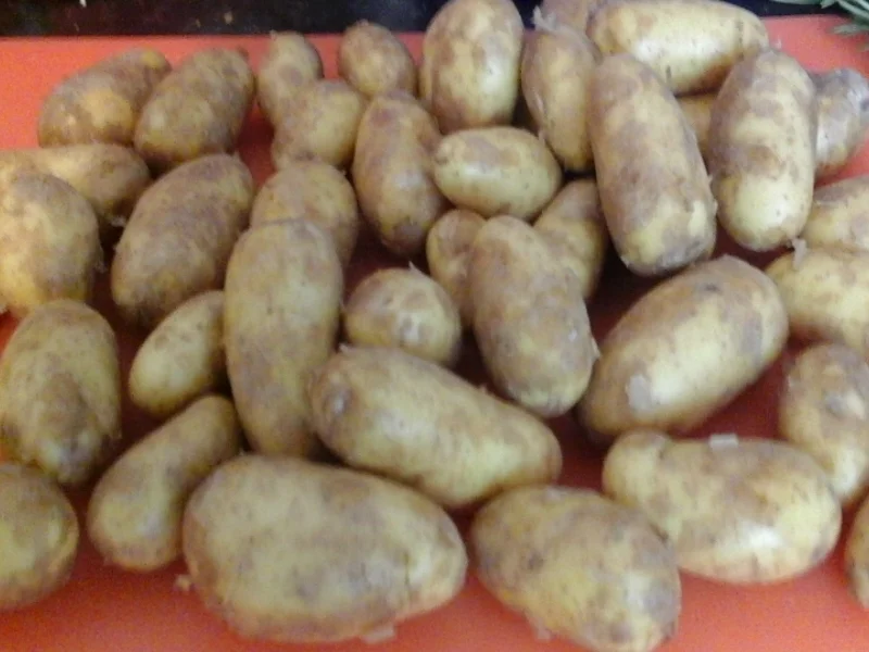 Rindergulasch mit Rosmarinkartoffeln und Blumenkohl+Brokkoli - Rezept - Bild Nr. 267