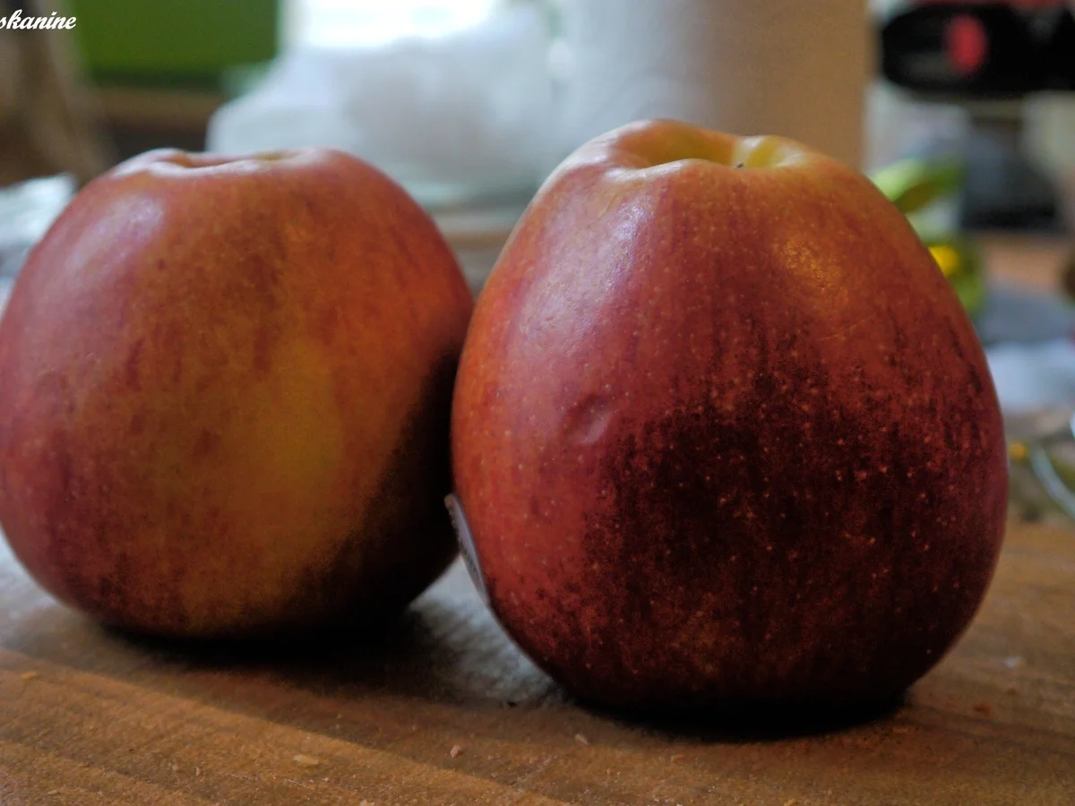 Rezept: Tomaten-Chili-Chutney Bild Nr. 264 Tomaten-Chili-Chutney - Rezept - Bild Nr. 264