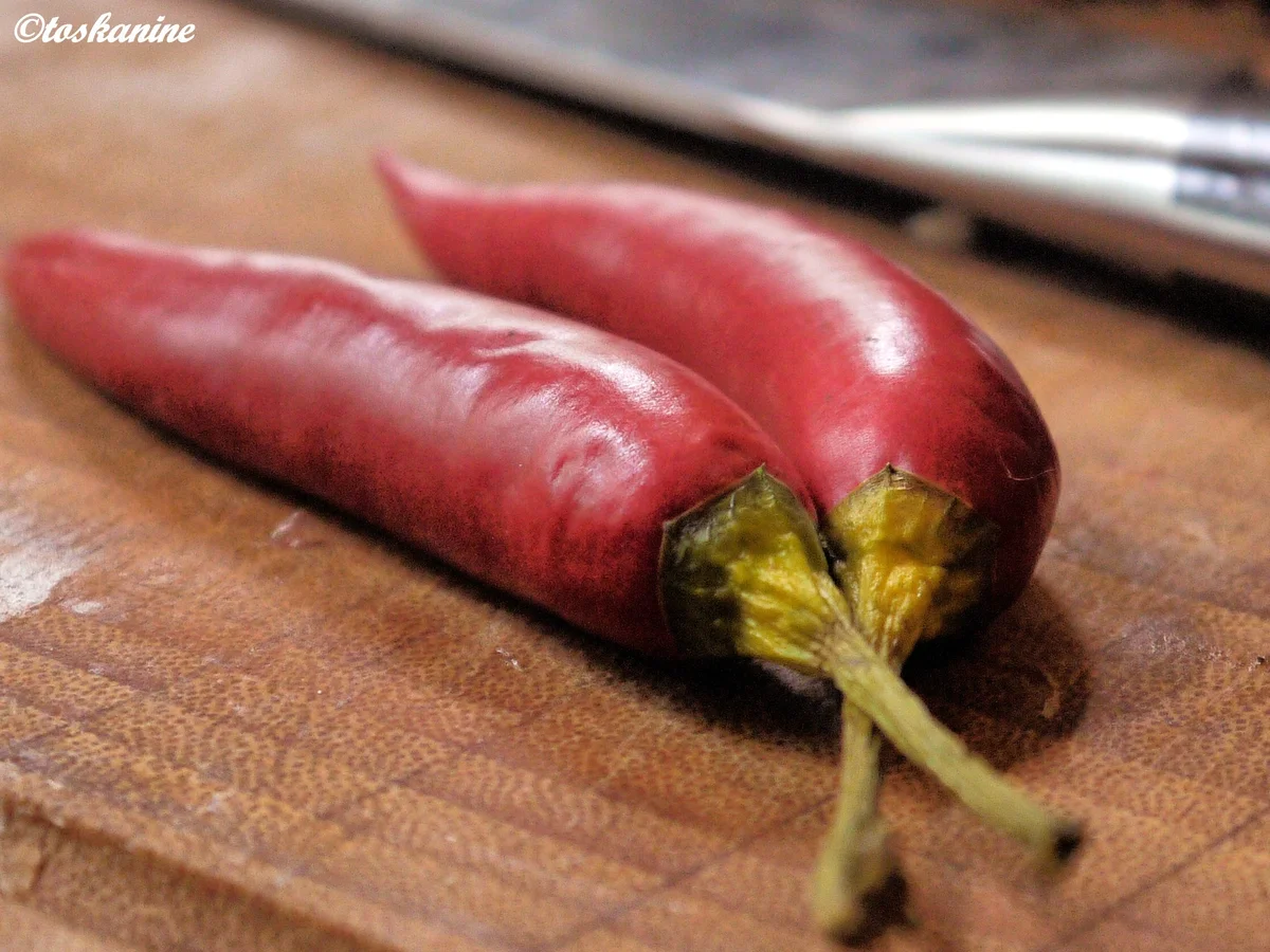 Rezept: Tomaten-Chili-Chutney Bild Nr. 266 Tomaten-Chili-Chutney - Rezept - Bild Nr. 266