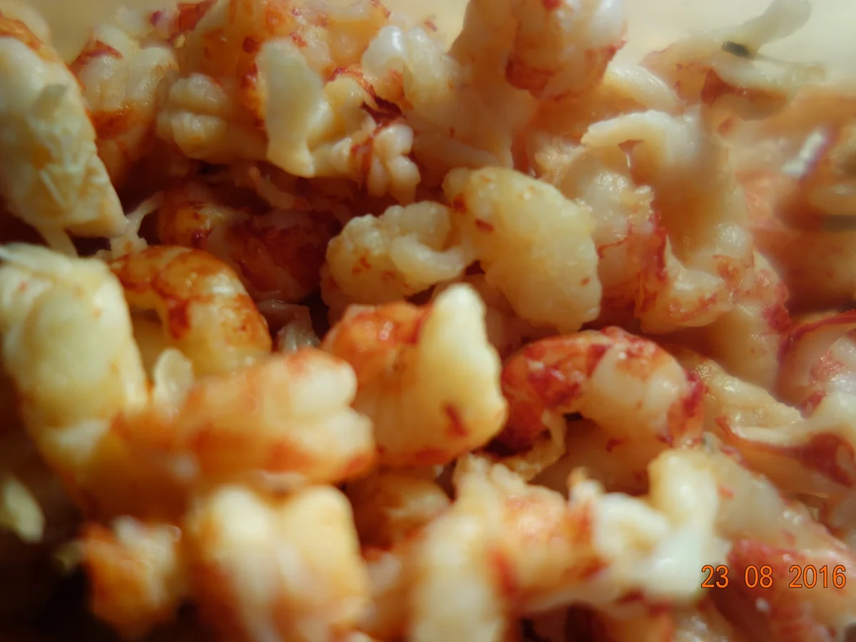 Rezept: Flußkrebse als Abendessen; Bild Nr. 842 Flußkrebse als Abendessen; - Rezept - Bild Nr. 842