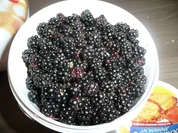 Brombeer - Konfitüre mit weißer Kuvertüre. - Rezept - Bild Nr. 293