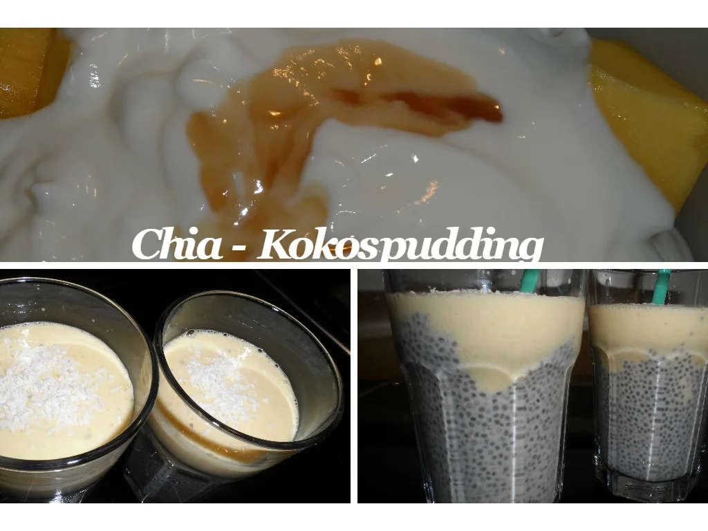 Rezept: BiNe` S CHIA - KOKOSPUDDING Bild Nr. 272 BiNe` S CHIA - KOKOSPUDDING - Rezept - Bild Nr. 272