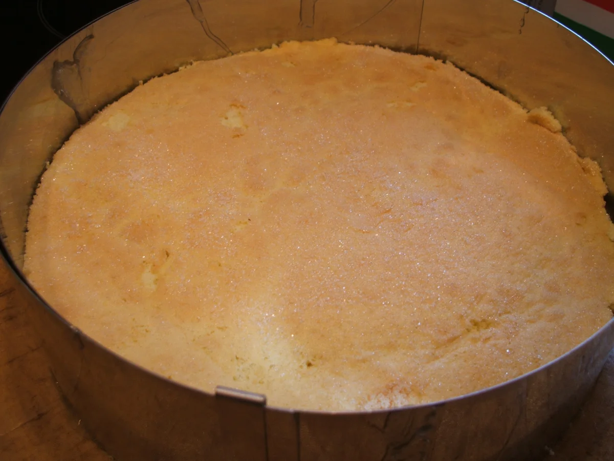 Backen: "Caribean Dream" - Rezept - Bild Nr. 268