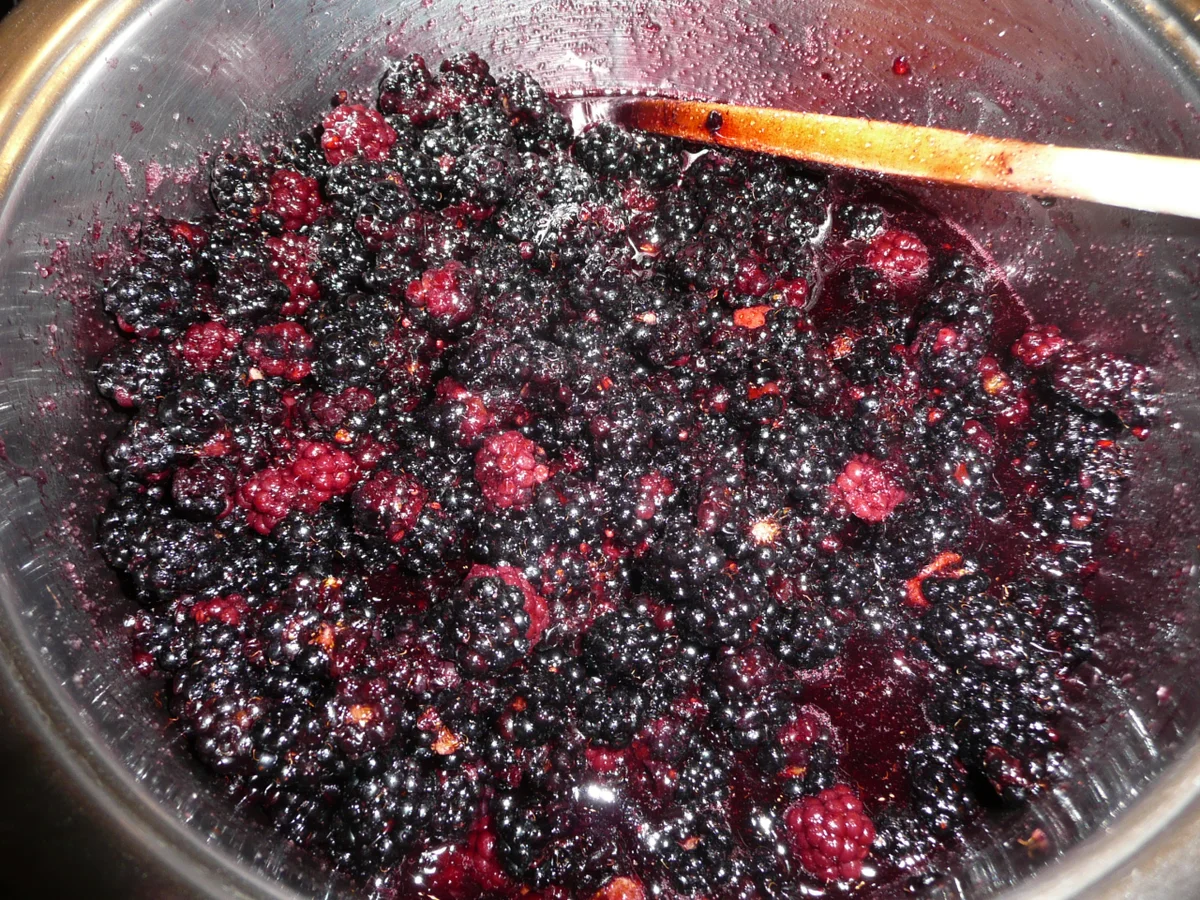 Rezept: Holunder - Orangen - Gelee. Bild Nr. 272 Holunder - Orangen - Gelee. - Rezept - Bild Nr. 272