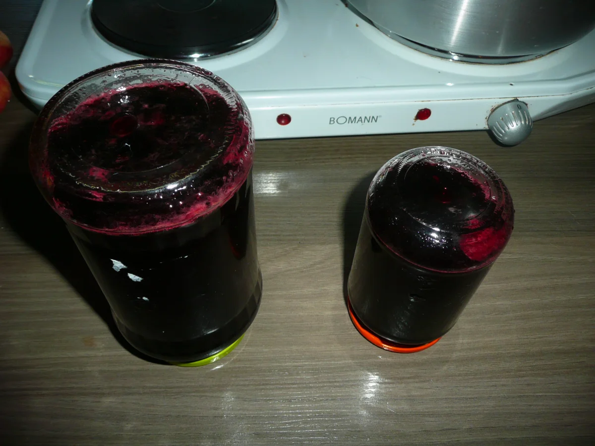 Rezept: Holunder - Orangen - Gelee. Bild Nr. 282 Holunder - Orangen - Gelee. - Rezept - Bild Nr. 282