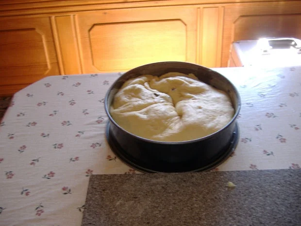 Rezept: Zwetschgenstrudel-Kuchen Bild Nr. 274 Zwetschgenstrudel-Kuchen - Rezept - Bild Nr. 274