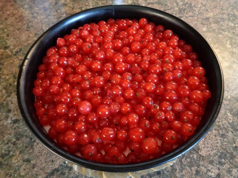 Kleine Käsetorte ... - Rezept - Bild Nr. 294