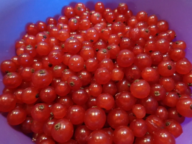 Kleine Käsetorte ... - Rezept - Bild Nr. 284