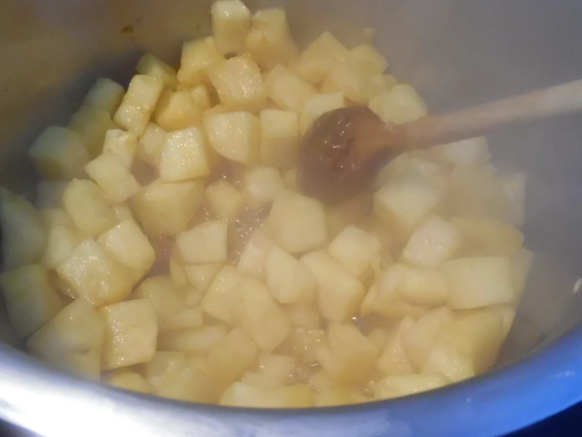 Pina Colada-Pudding mit Ananas-Chili-Ragout - Rezept - Bild Nr. 292