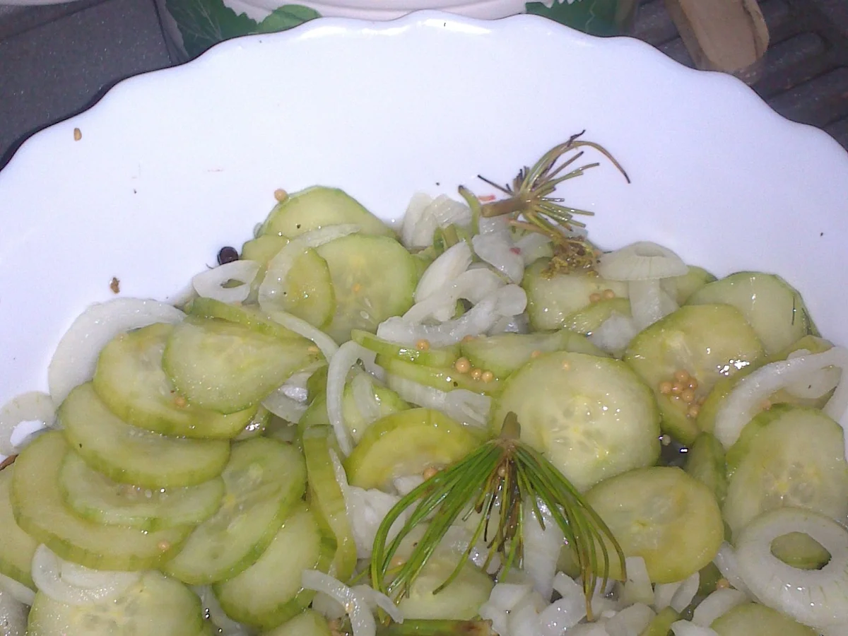 Rezept: Spreewälder Schnellgurken Bild Nr. 285 Spreewälder Schnellgurken - Rezept - Bild Nr. 285