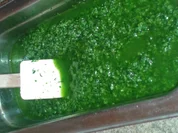 Bärlauchpesto Basis für TK und Fertigstellung - Rezept - Bild Nr. 293