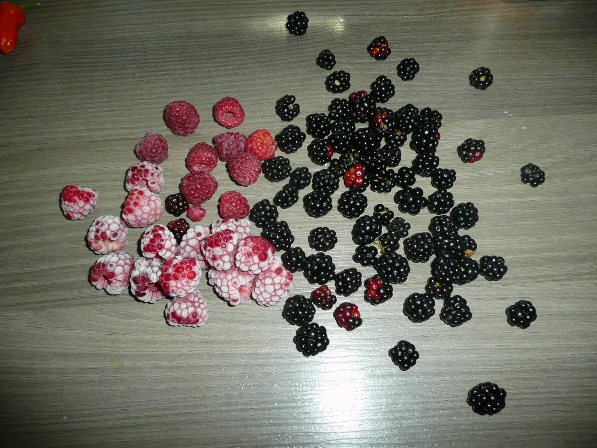 Holunder - Beeren - Torte mit Hugo Aroma ! - Rezept - Bild Nr. 295