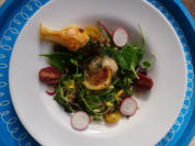 Lachsmousse auf buntem Blattsalat - Rezept