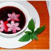 Pikante Rote-Bete-Suppe auf Rindfleischbrühe - Rezept - Bild Nr. 296