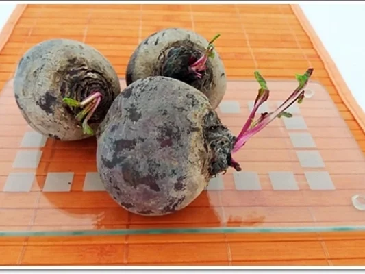 Pikante Rote-Bete-Suppe auf Rindfleischbrühe - Rezept - Bild Nr. 298