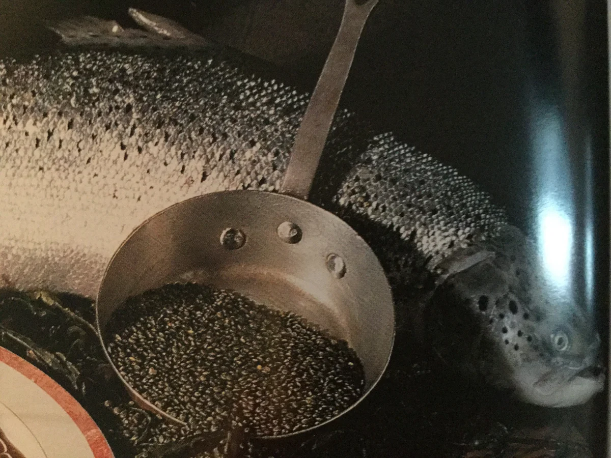 Rezept: Lachsdip für jede Party Bild Nr. 296 Lachsdip für jede Party - Rezept - Bild Nr. 296