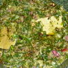 Argentinisches Chimichuri Sauce - Rezept - Bild Nr. 297