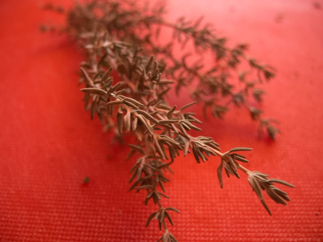 Rezept: Rinderrollbraten mit kleinen Kartoffeln und Pfannengemüse Bild Nr. 301 Rinderrollbraten mit kleinen Kartoffeln und Pfannengemüse - Rezept - Bild Nr. 301