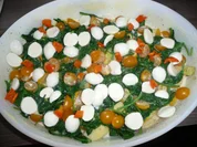 Kartoffel - Spinat - Gratin - Rezept - Bild Nr. 297