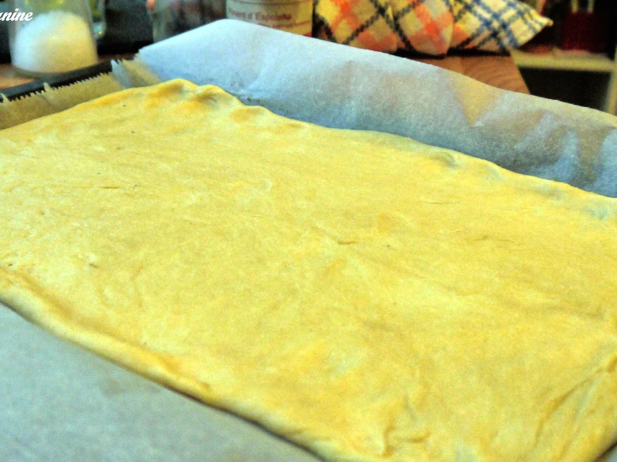 Rezept: Flammkuchen mit Feigen und Ziegenfrischkäse Bild Nr. 345 Flammkuchen mit Feigen und Ziegenfrischkäse - Rezept - Bild Nr. 345