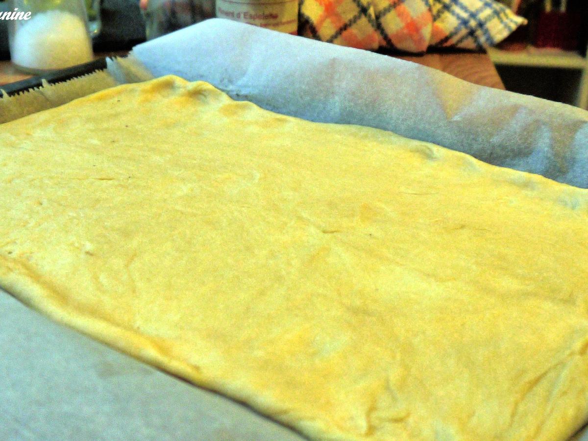 Flammkuchen mit Feigen und Ziegenfrischkäse - einfach - 201 kcal/100g