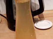 Orange-Grapefruit Limonade.  - Rezept - Bild Nr. 339
