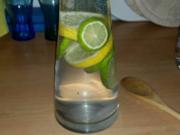 Zitronen-Limetten Erfrischung - Rezept - Bild Nr. 340