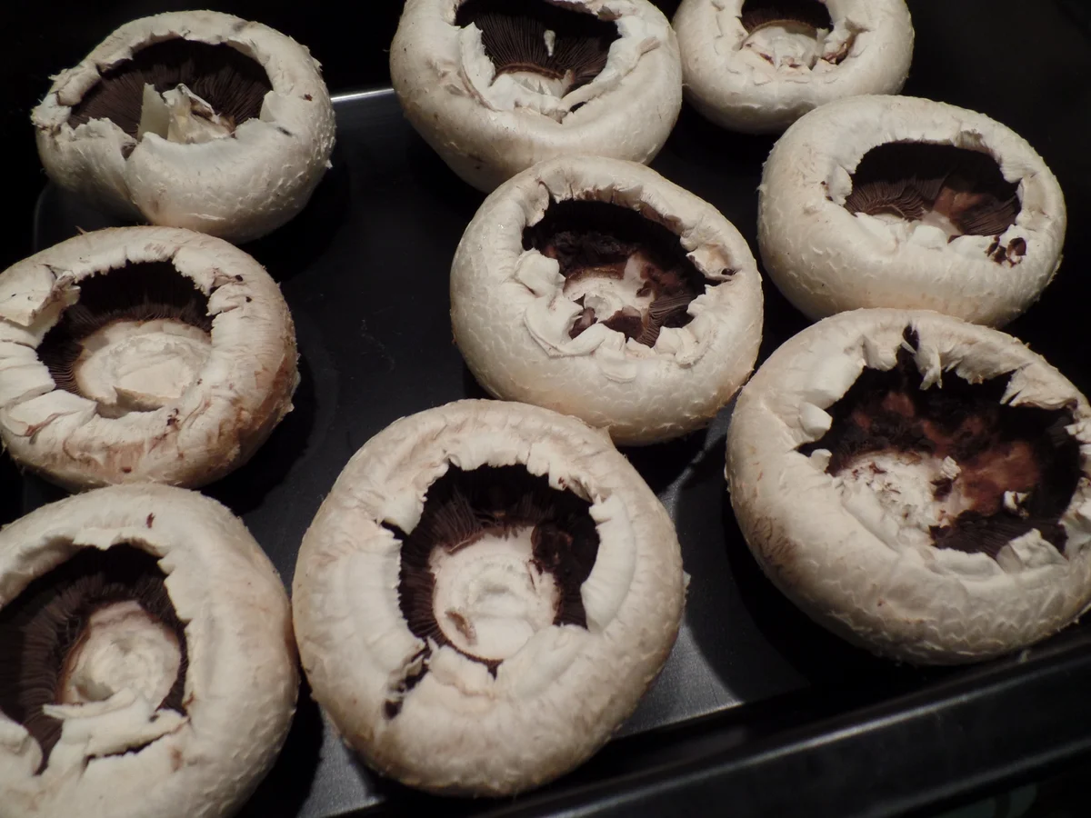Champignons mit Frischkäsefüllung - Rezept - Bild Nr. 357