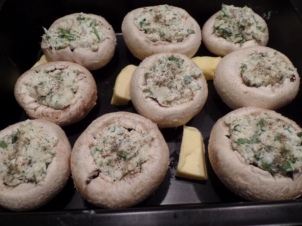 Champignons mit Frischkäsefüllung - Rezept - Bild Nr. 360