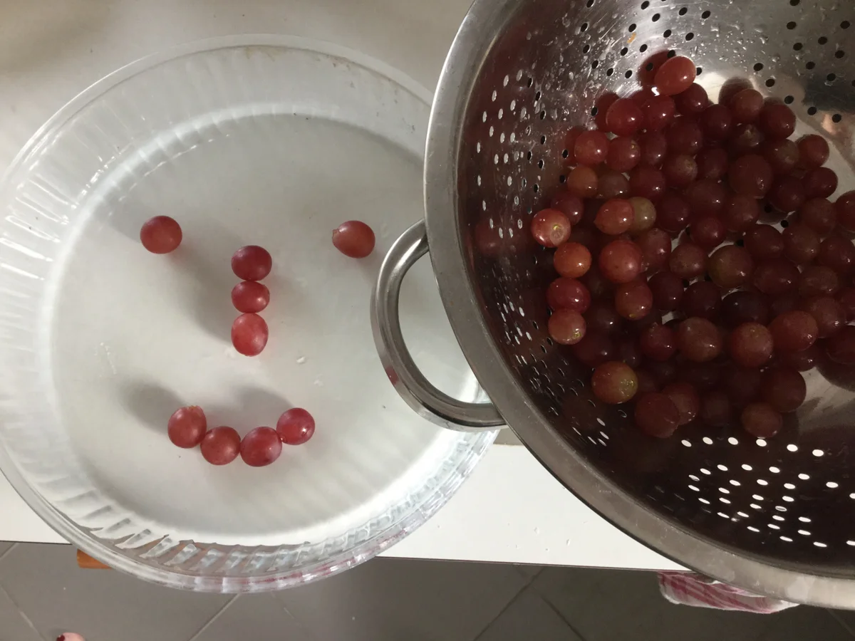 Schneller Traubenkuchen mit dünnem Teig - Rezept - Bild Nr. 357