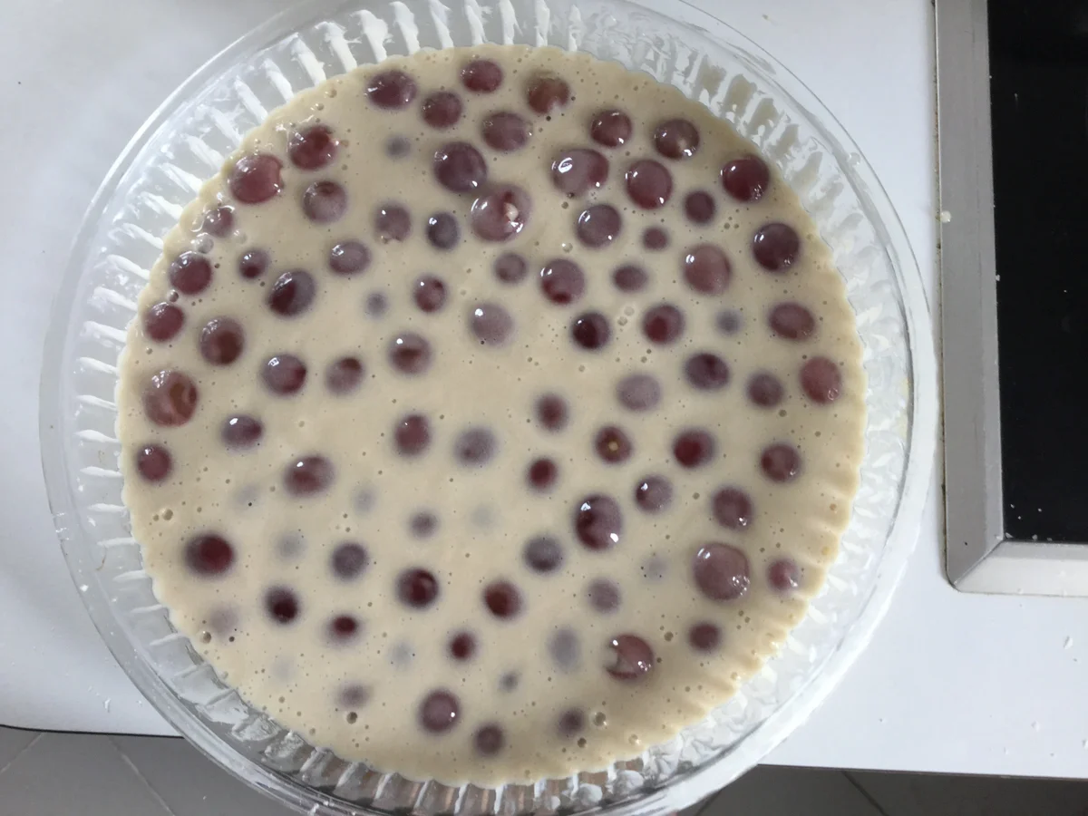 Schneller Traubenkuchen mit dünnem Teig - Rezept - Bild Nr. 359