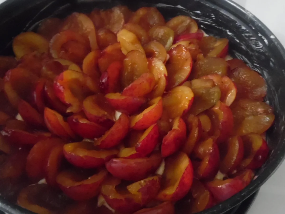 Rezept: "Blitz"- Pflaumenkuchen Bild Nr. 369 "Blitz"- Pflaumenkuchen - Rezept - Bild Nr. 369