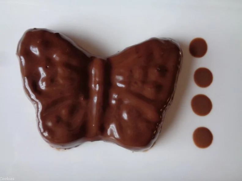 Schokoladen - Panna Cotta auf Kaffee - Schoko - Sahne - Soßenspiegel ... - Rezept - Bild Nr. 364