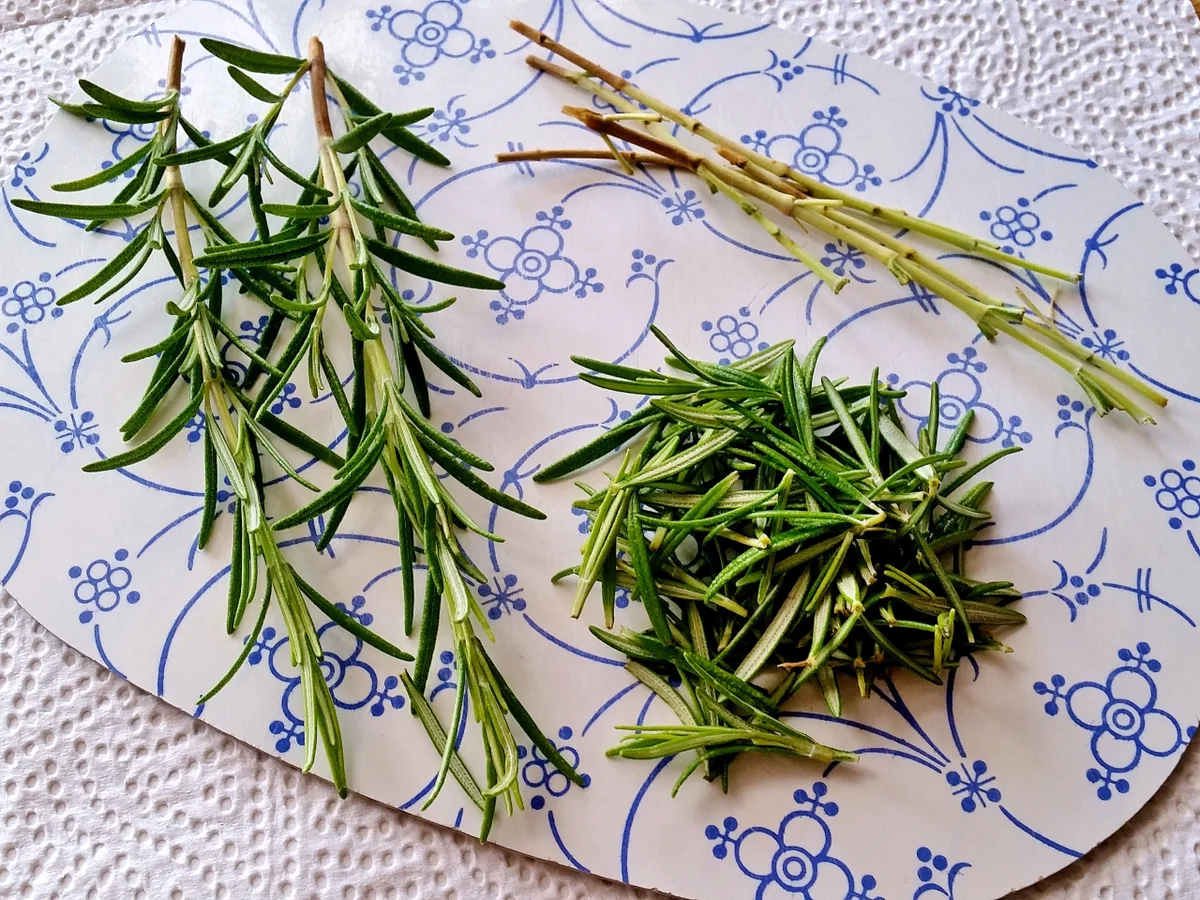 Rezept: Buntes Grillgemüse und Rosmarin-Kartoffeln ... Bild Nr. 367 Buntes Grillgemüse und Rosmarin-Kartoffeln ... - Rezept - Bild Nr. 367