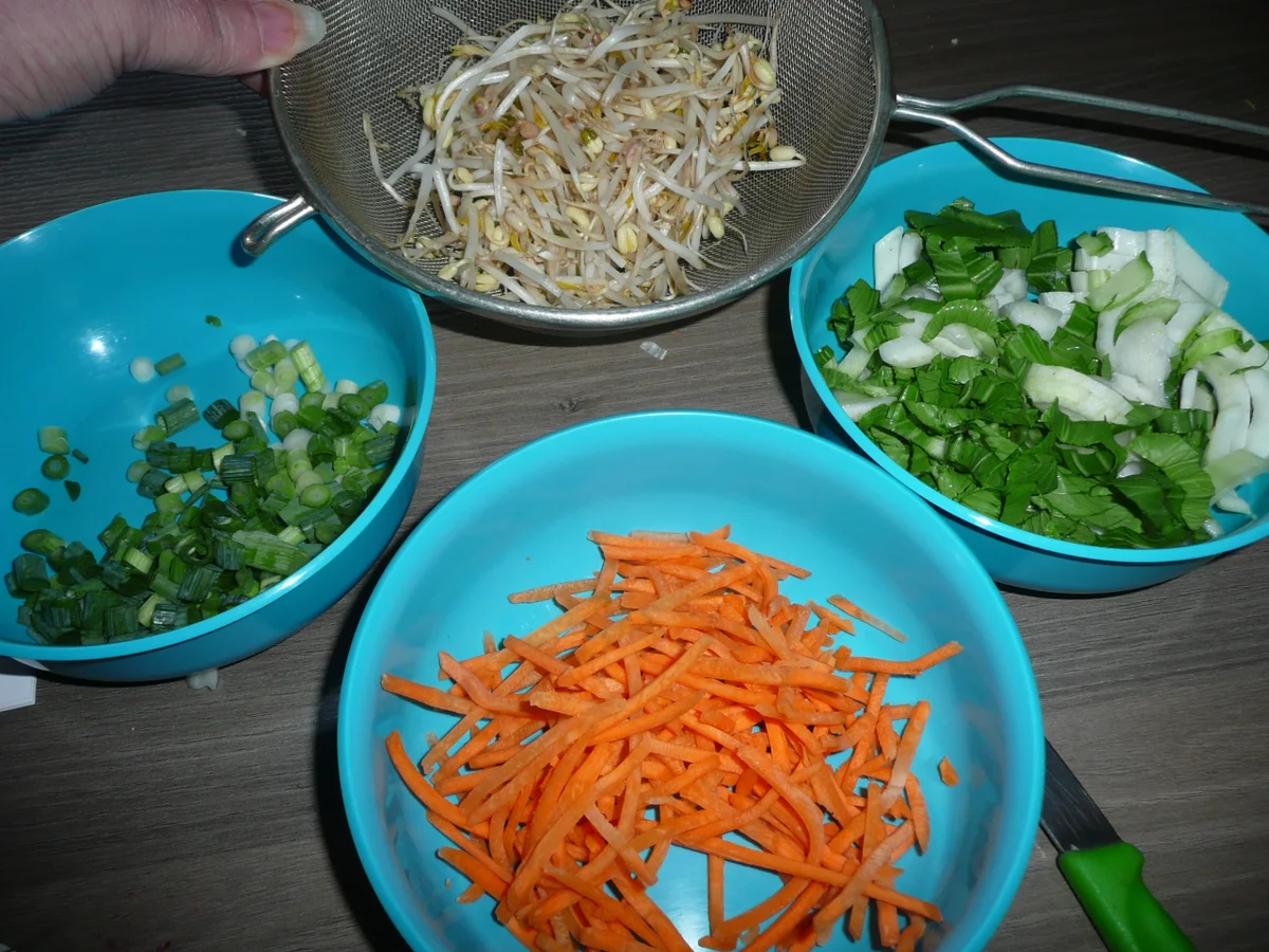 Garen im Wok. - Rezept - Bild Nr. 365