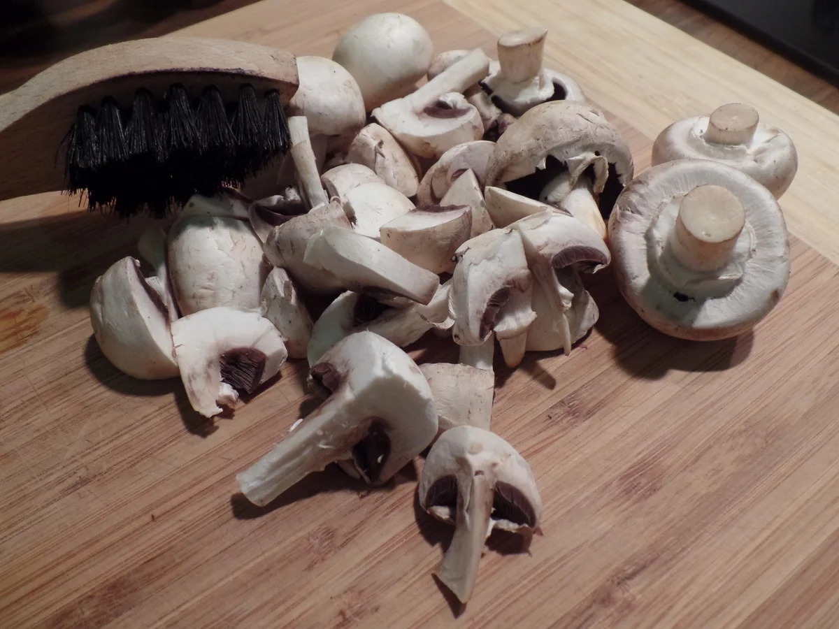 Fischfilet mit Knusperkruste und Gurkensalat - Rezept - Bild Nr. 365