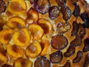 Zwetschgen-Aprikosen-Marzipan-Kuchen - Rezept