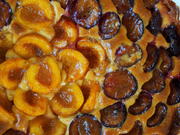 Zwetschgen-Aprikosen-Marzipan-Kuchen - Rezept