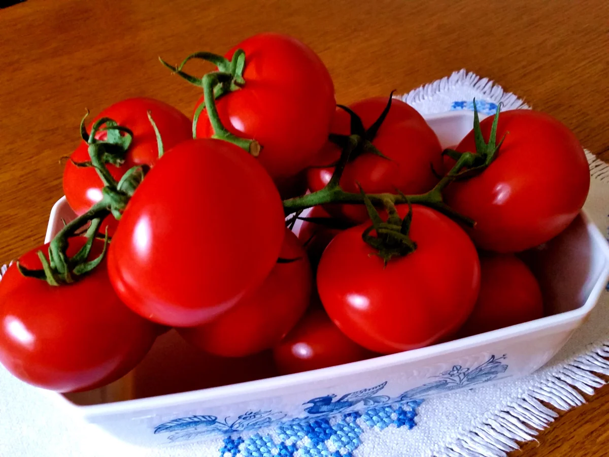 Tomatensuppe ... - Rezept - Bild Nr. 390