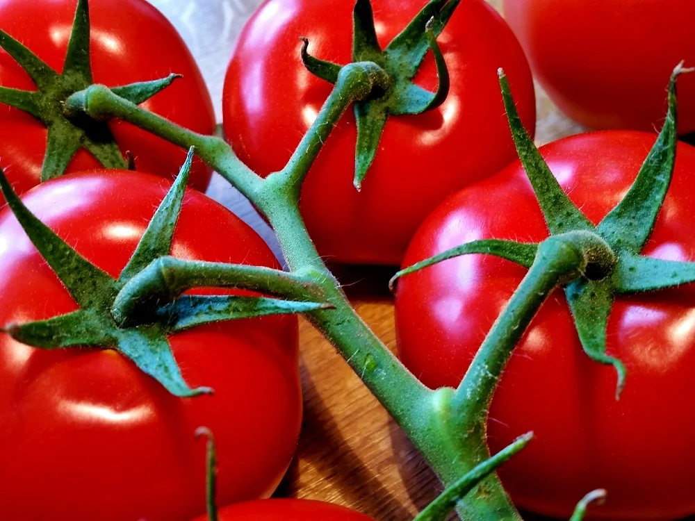 Tomatensuppe ... - Rezept - Bild Nr. 391
